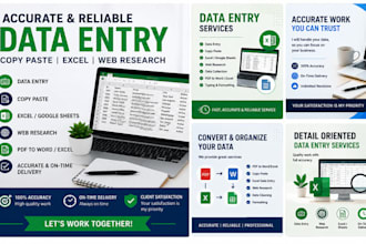 do accurate data entry copy paste exceel and wave  research