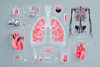 draw anatomy and medical vector illustration