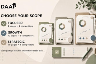 provide a professional SEO audit and strategy for your site