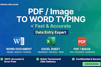 do copy typing, pdf to word, image to word and data entry