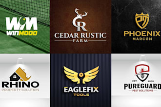 design a professional brand logo design