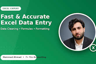 do fast and accurate excel data entry