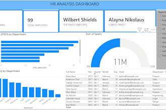 create a professional excel or power bi dashboard