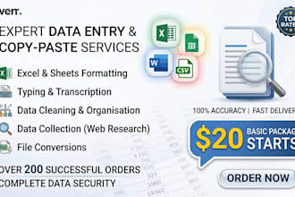 accurate data entry copy paste and excel data cleanup