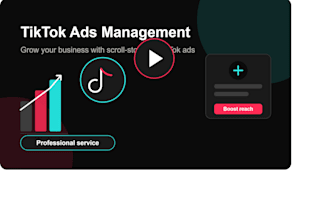 setup and manage tik tok  ads campaigns for your business