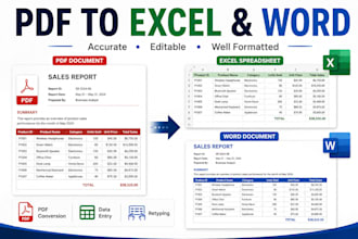 convert PDF to excel word and retype documents