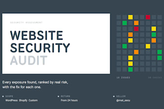 audit your website security