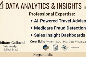do data analysis, python automation, visualization and custom dashboards