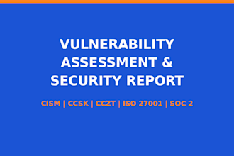 perform a vulnerability assessment and deliver a security report