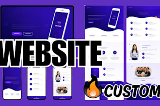 develop a custom professional website