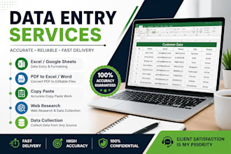 do accurate data entry, copy paste and web research