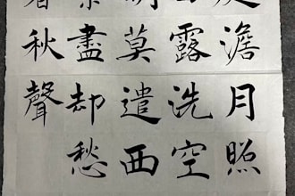 write beautiful chinese calligraphy