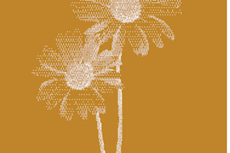 design custom halftone poster art and graphic prints