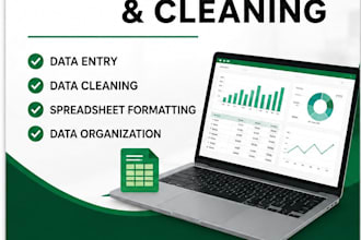 clean, format and organize your excel spreadsheets