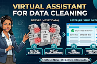 do excel data cleaning, formatting , and organize messy spreadsheet
