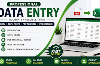 be your professional data entry specialist for excel