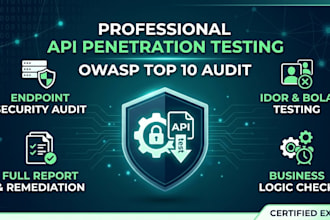 perform owasp API penetration testing and security audit