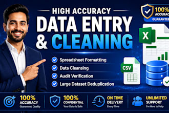 do accurate data entry, data cleaning and audit verification