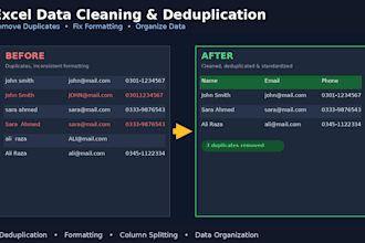 do professional excel data cleaning and deduplication