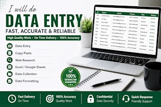 do fast and accurate data entery copy paste
