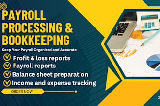 do bookkeeping, taxes and payroll service