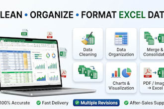 clean, organise, combine, and visualise your excel data
