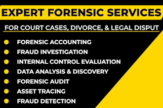 do forensic accounting, fraud investigation, forensic audit and asset tracing