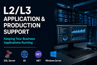 provide production application and windows server support