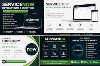 provide servicenow application development and scriptings