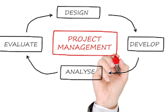 do assigned project management, marketing and business management