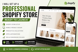 set up a professional shopify store ready to launch