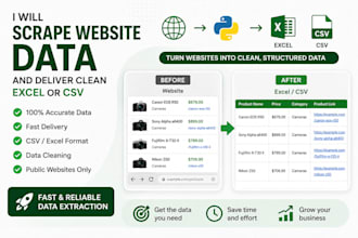 scrape website data and deliver clean excel or CSV