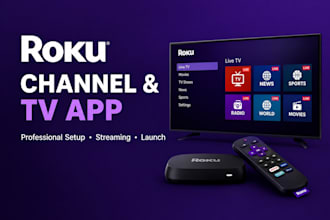 setup a professional roku channel and roku TV app