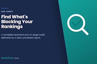 do a complete SEO audit of your website