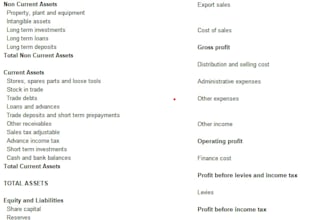 provide financial reporting, statements and audit support