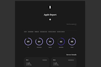 run a premium audit for your website