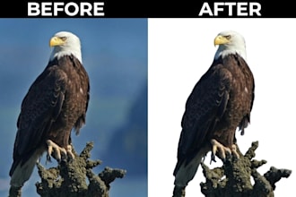 professional background removal and transparent png