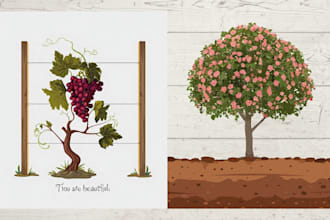 draw botanical plant and flower illustrations