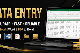 do accurate data entry and excel spreadsheet work