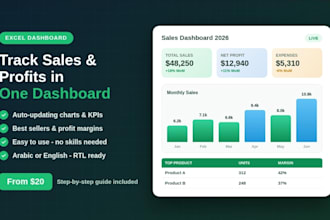 create a professional excel dashboard to track your sales and profits