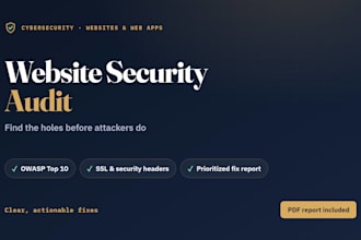 perform a website and web app vulnerability audit with fix report