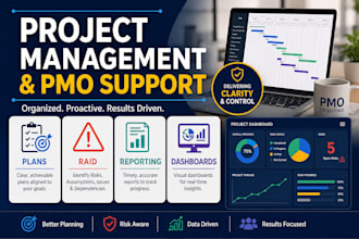 project management, pmo support, data analysis and dashboard