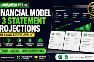 build an investor ready financial model and 3 statement projections for startup