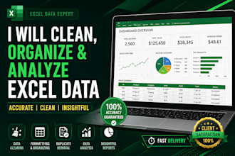 do excel data entry data cleaning formatting and analysis