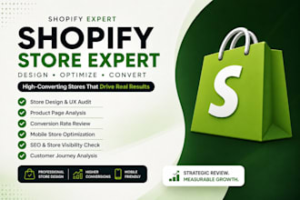 analyze and audit your shopify store