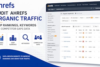 audit ahrefs organic traffic, serp rankings, keywords and competitor gaps data