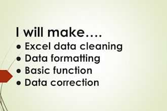 do data cleaning, formatting, splitting and deduplication in excel within a day