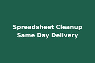 clean a messy spreadsheet and send it back the same day