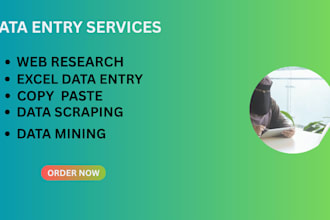 do data entry,copy paste,excel and web research