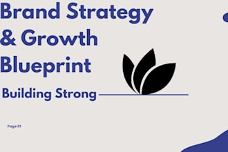 craft a brand strategy, marketing plan, and strong brand position